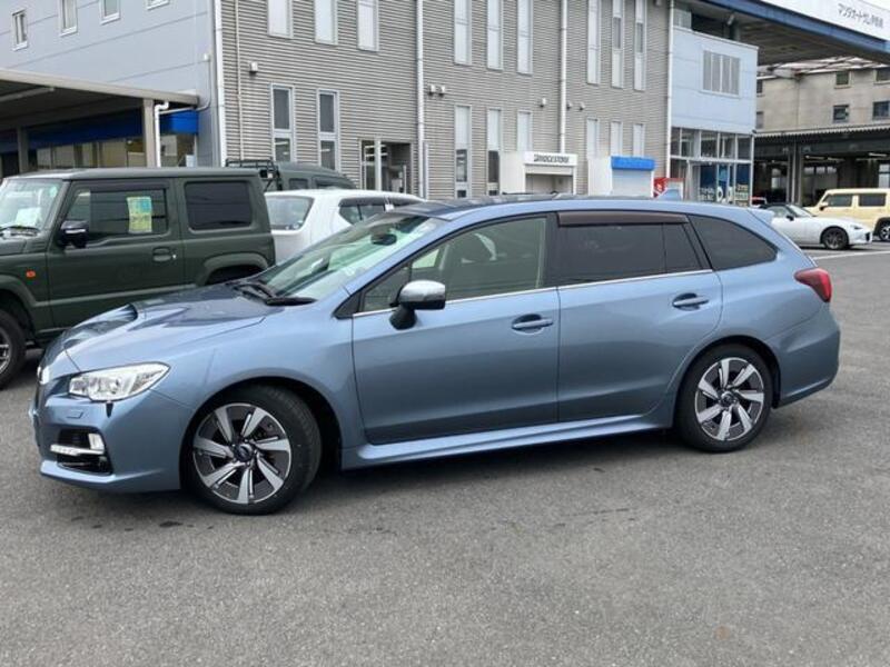 LEVORG