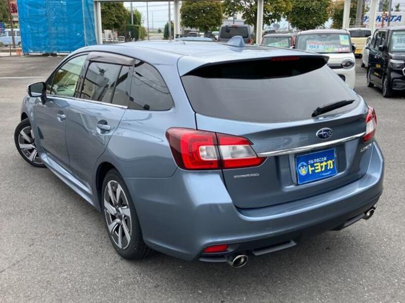 LEVORG