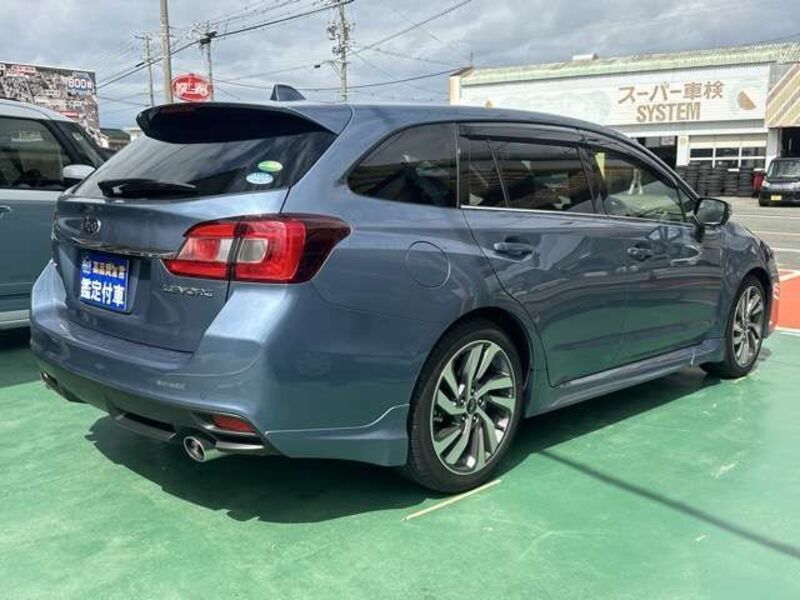 LEVORG