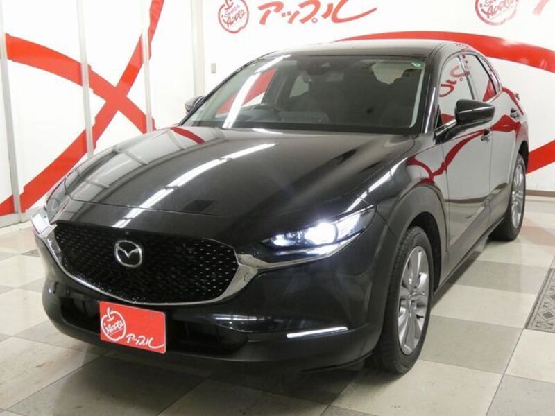 CX-30