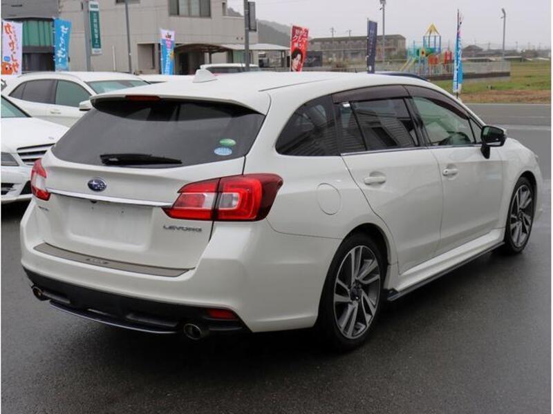 LEVORG