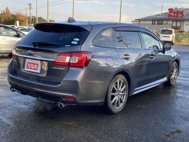 LEVORG