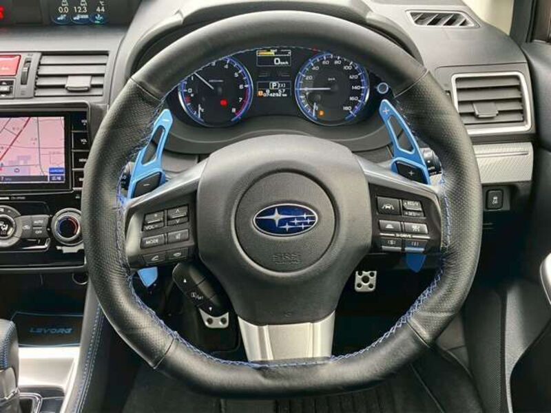 LEVORG