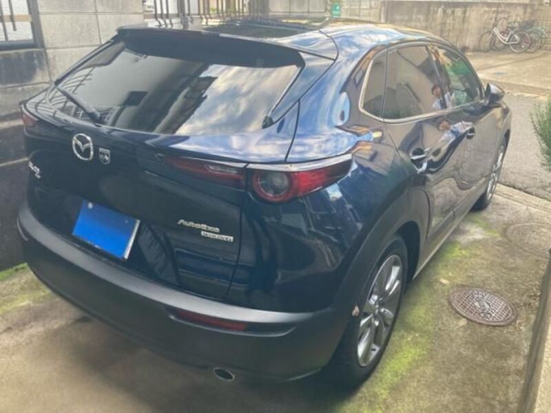 CX-30