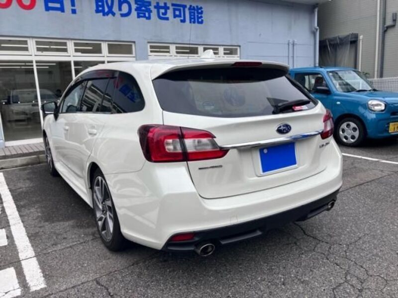 LEVORG