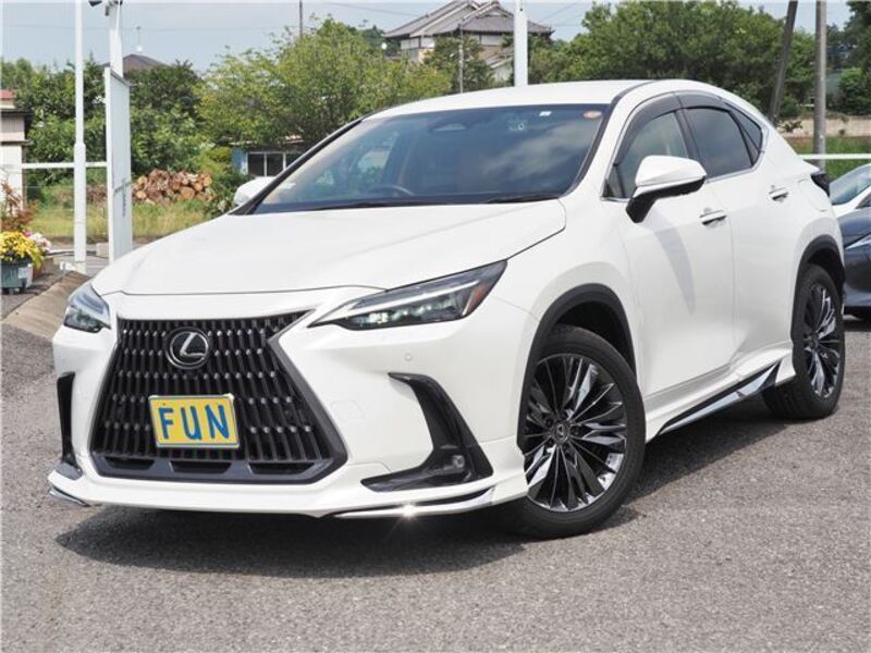 LEXUS NX