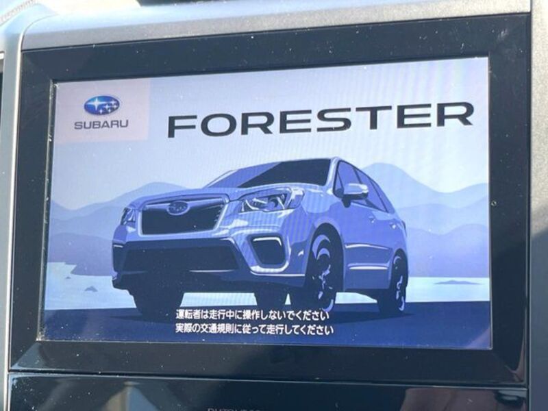 FORESTER