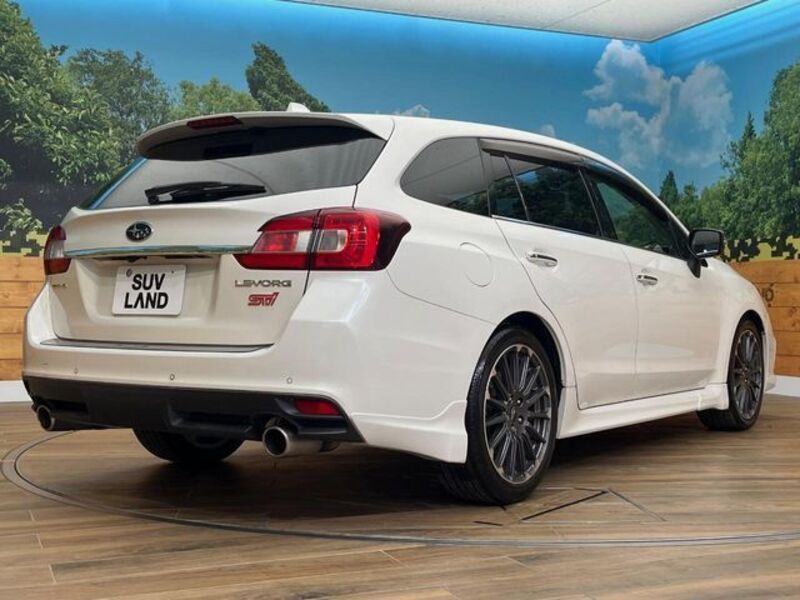 LEVORG