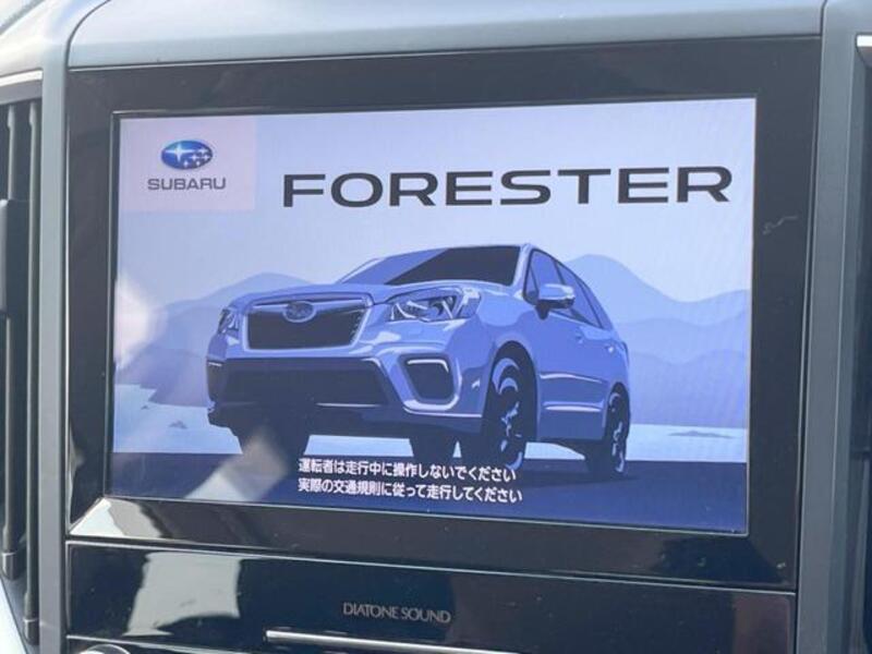 FORESTER