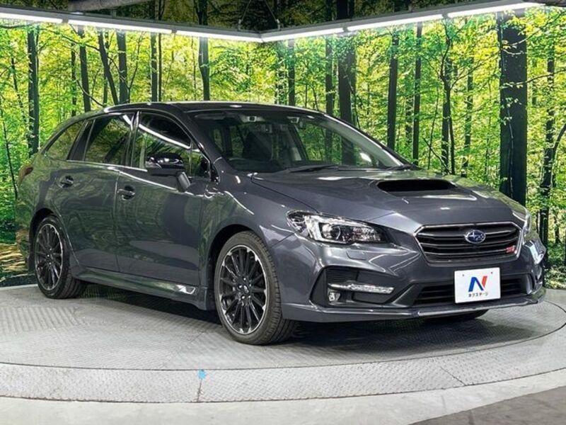 LEVORG