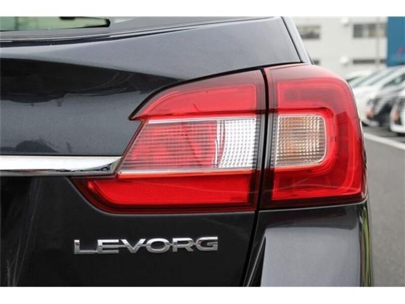 LEVORG