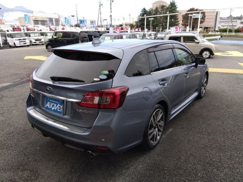 LEVORG