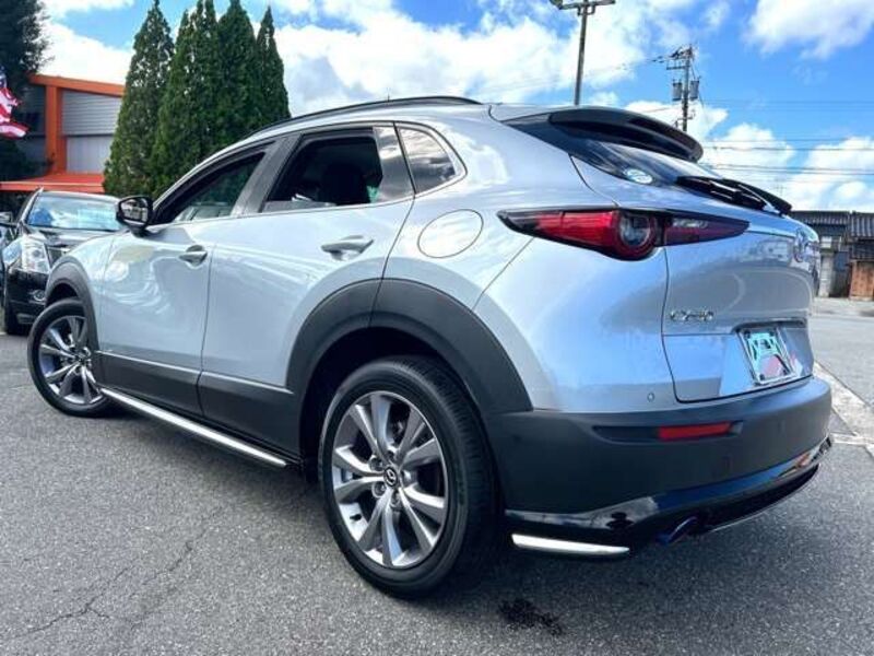 CX-30