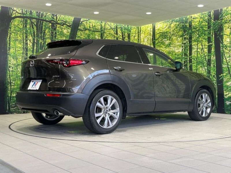 CX-30