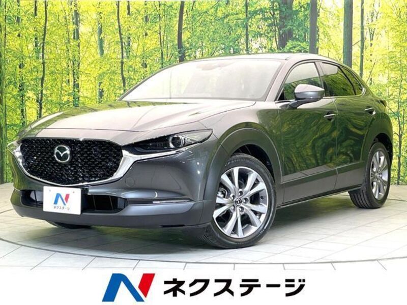 CX-30-0