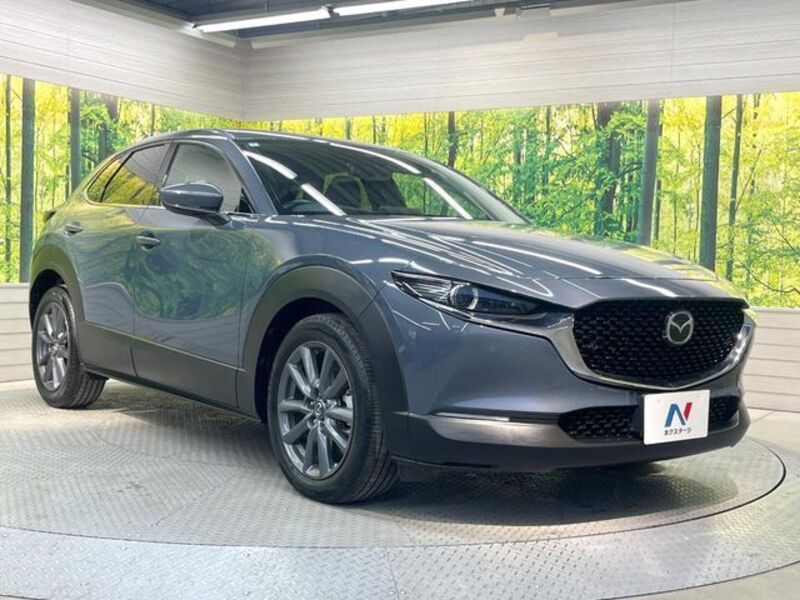 CX-30