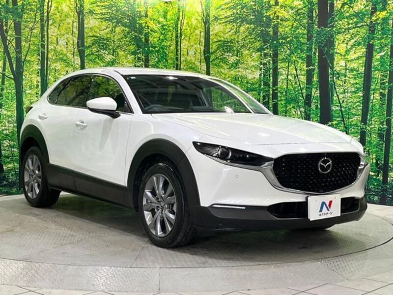 CX-30