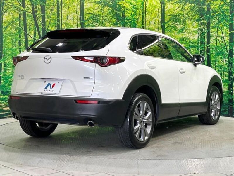 CX-30