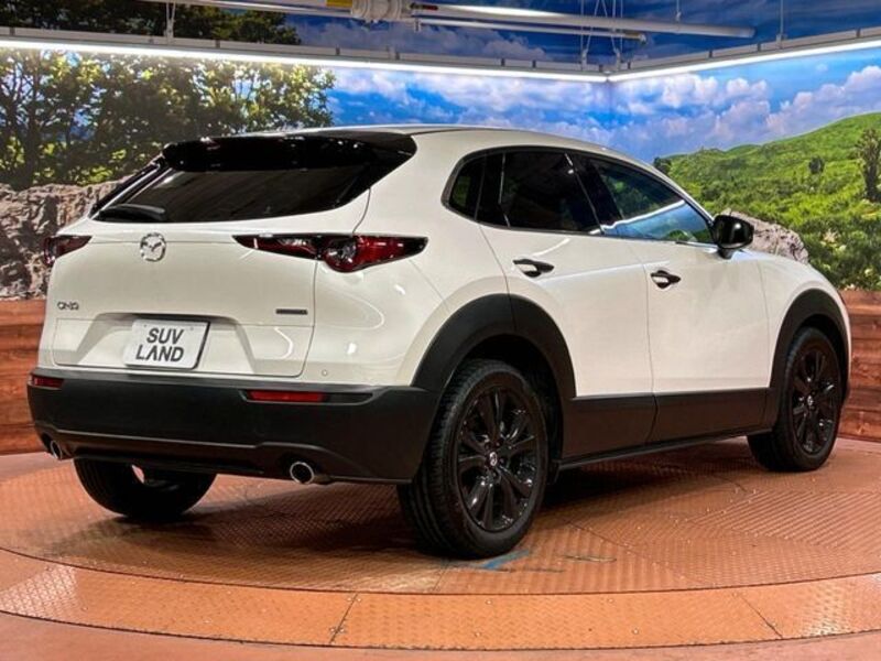 CX-30