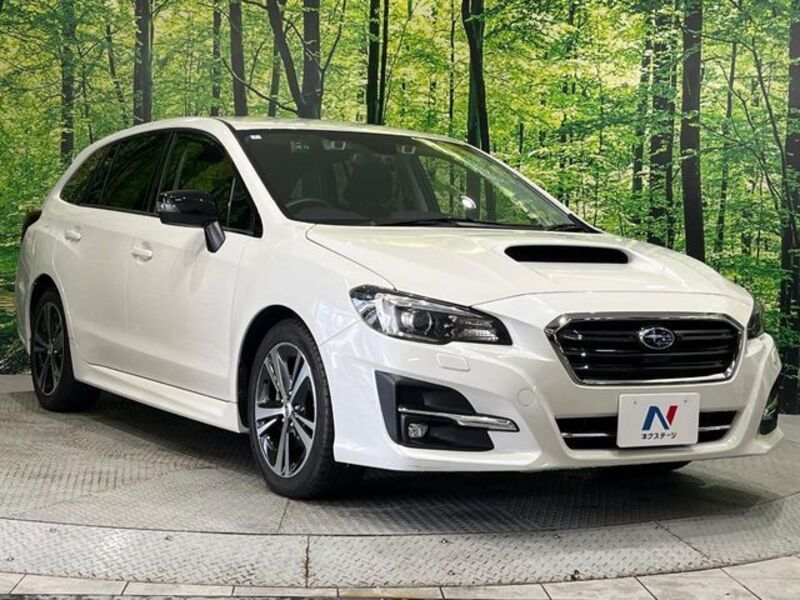 LEVORG