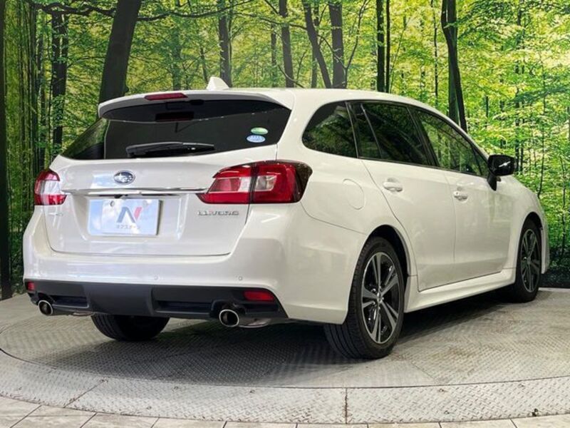 LEVORG