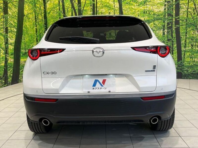 CX-30