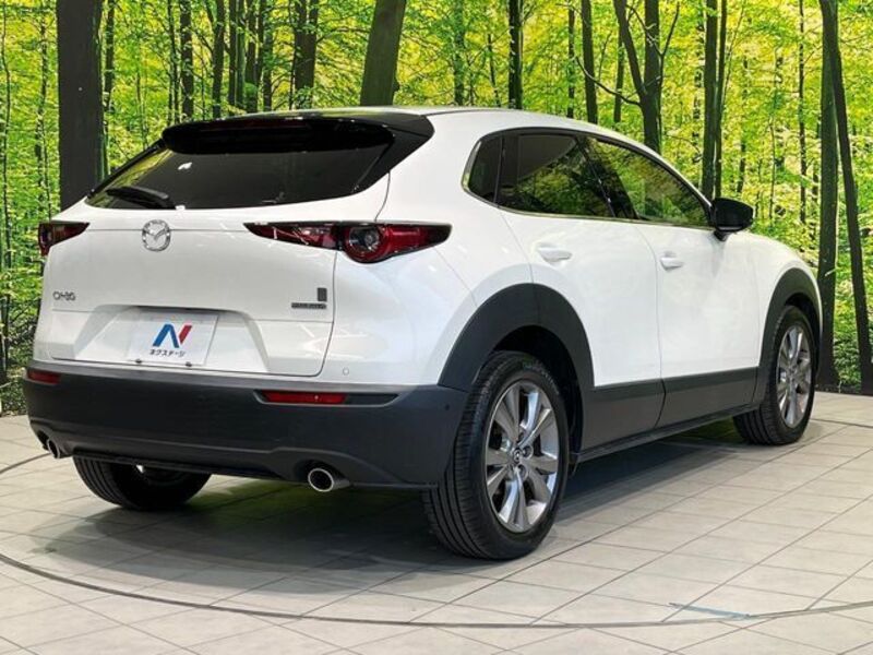 CX-30