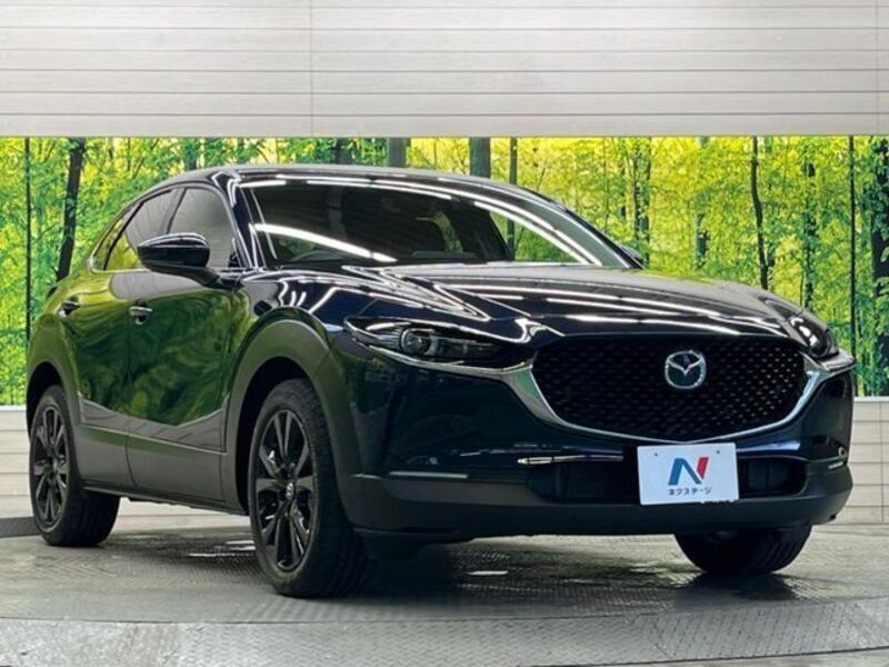 CX-30
