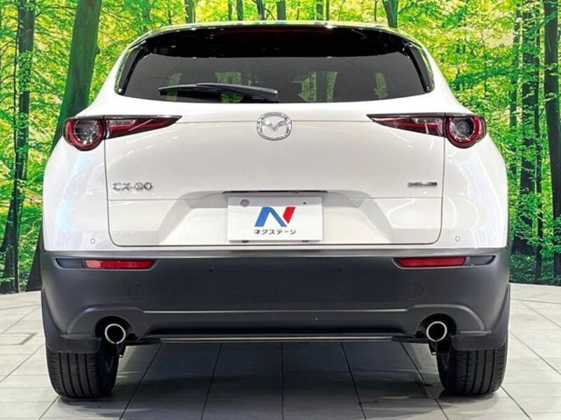 CX-30