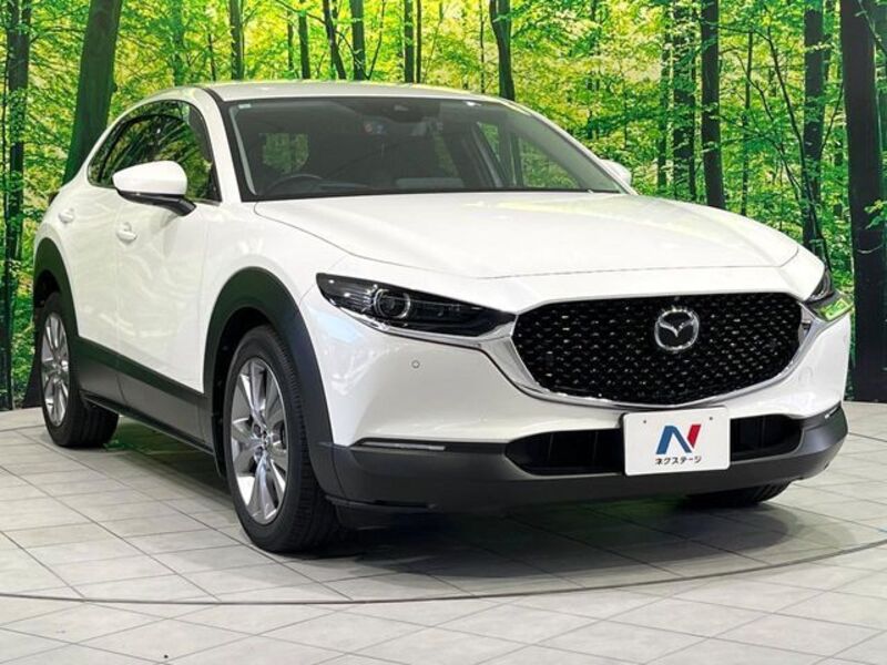 CX-30