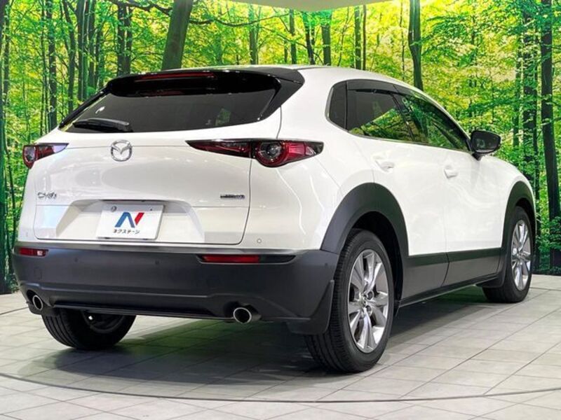 CX-30