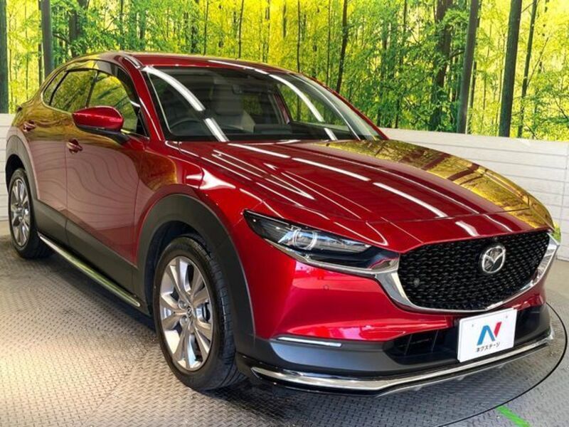 CX-30