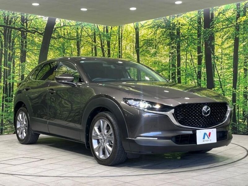 CX-30