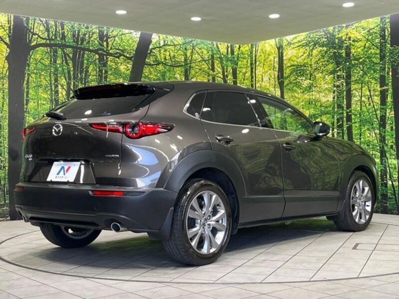 CX-30