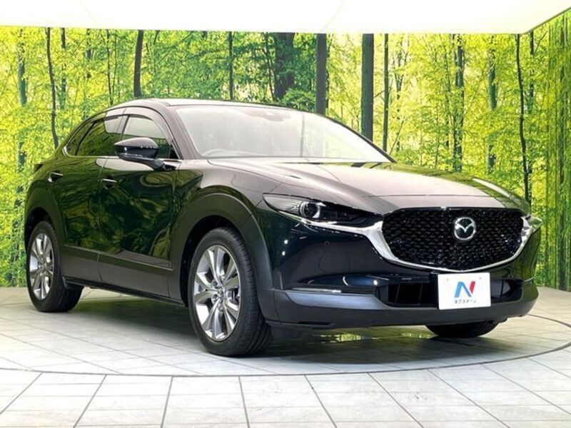 CX-30