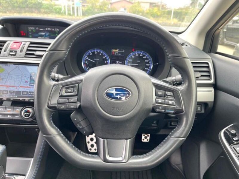 LEVORG