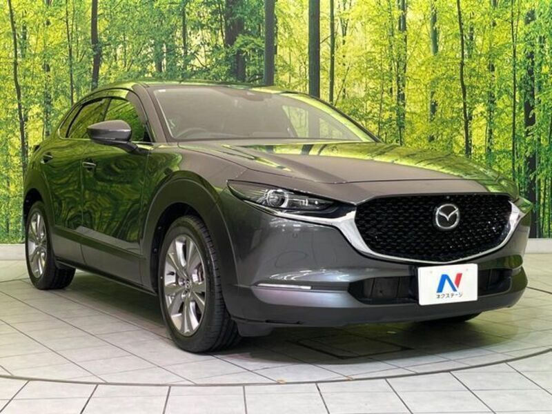 CX-30