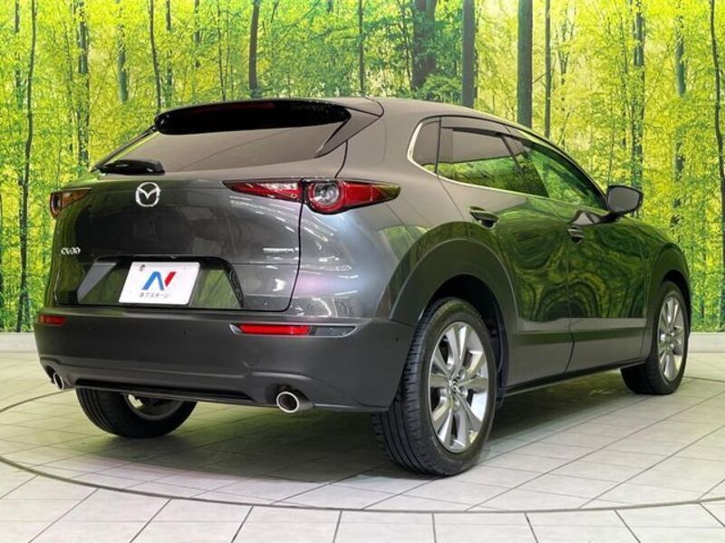 CX-30