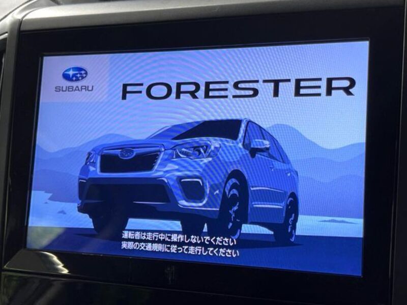 FORESTER