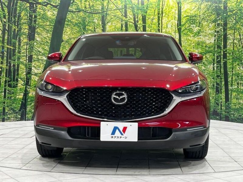 CX-30