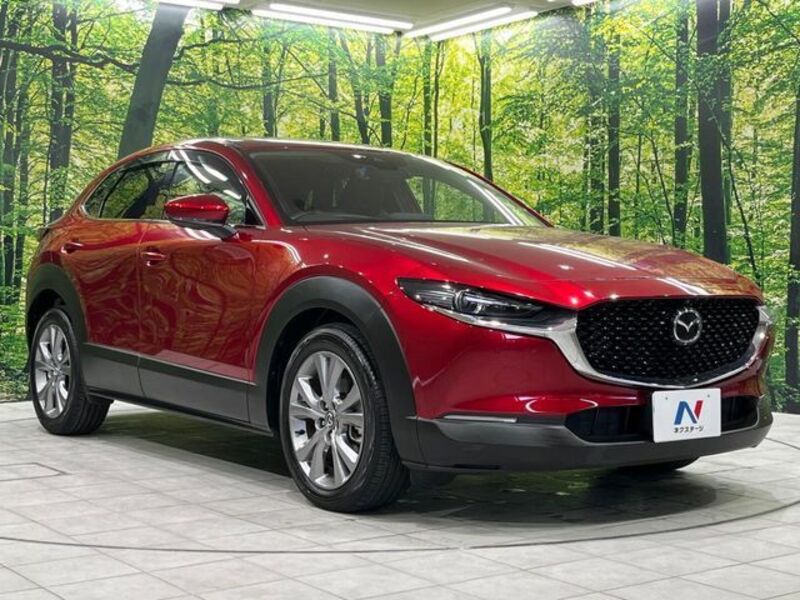 CX-30