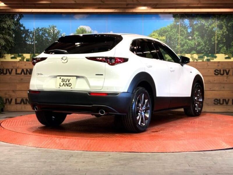 CX-30