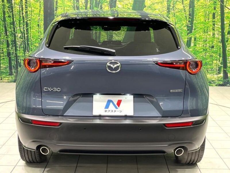 CX-30