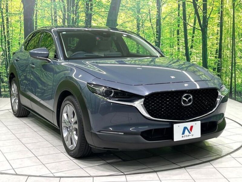 CX-30