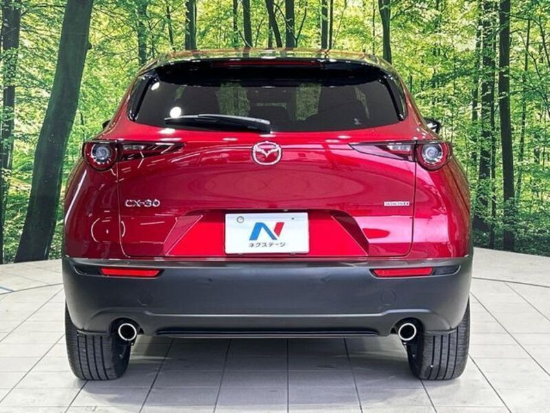 CX-30
