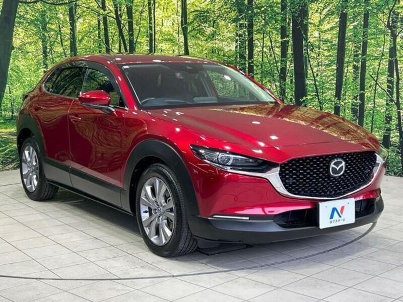 CX-30