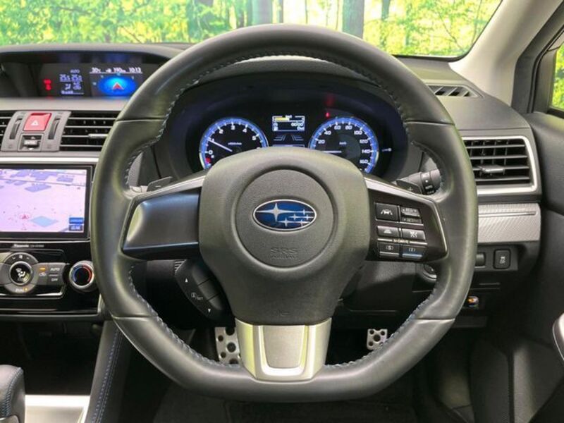 LEVORG