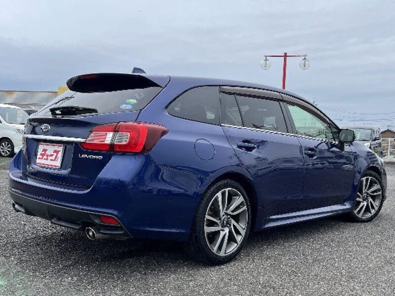 LEVORG