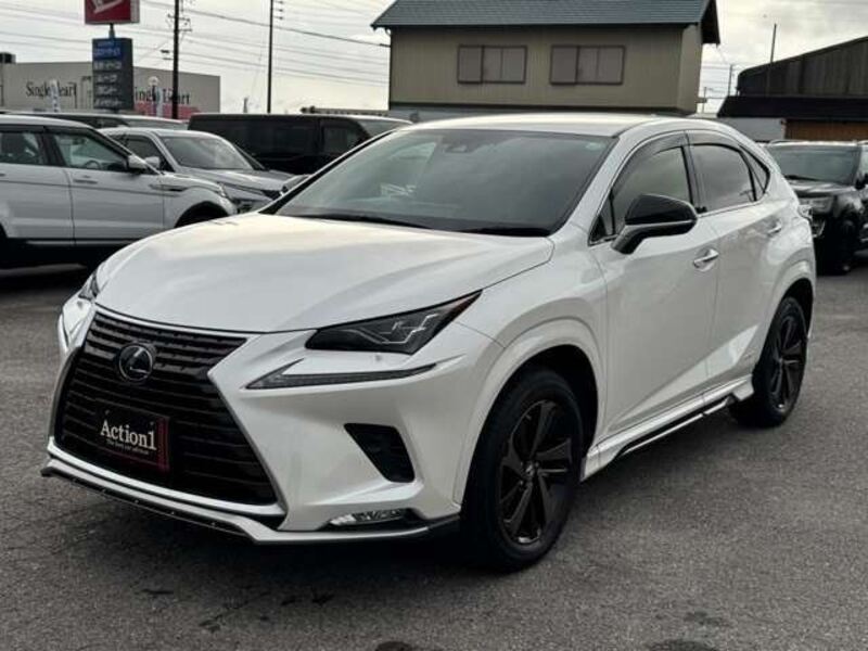 LEXUS NX