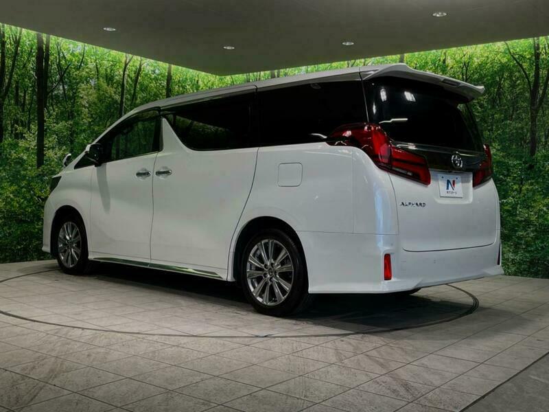 ALPHARD-64